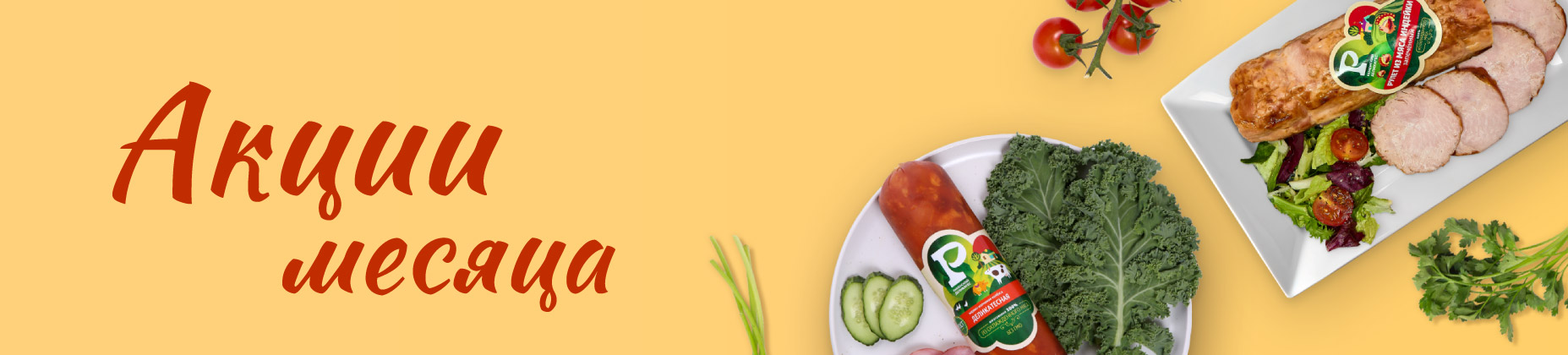 Баннер_главная страница сайта_Монтажная область 1 копия.jpg