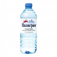 Вода Пилигрим питьевая негазированная 500 мл